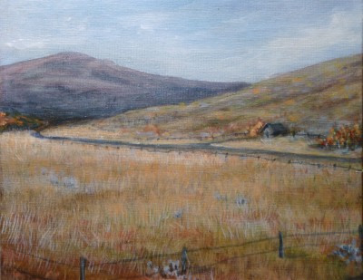 Trough Road Colorado 'Trough Road 2' part of a triptych by Ellen Leigh