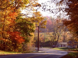 Vacation to see Ohio fall foliage. photograph by Ellen Leigh