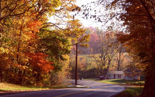 Vacation to see Ohio fall foliage. photograph by Ellen Leigh