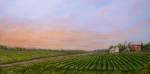 Sunset on the Farm 24 x 48 fine artwork painting by Ellen Leigh. barn, farm, sunset, prints available at FAA