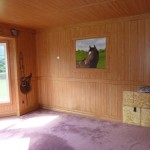 A full room mural- The Barn room is completely painted- doors, walls and ceiling with faux wood siding to look like the inside of a riding stable. also depicted are the girl's horse, her dogs, her cat, saddle, boots, bridle and barn swallows. more views can be seen on the blog at ellen eligh .com search childrens murals. Mural by Ellen Leigh