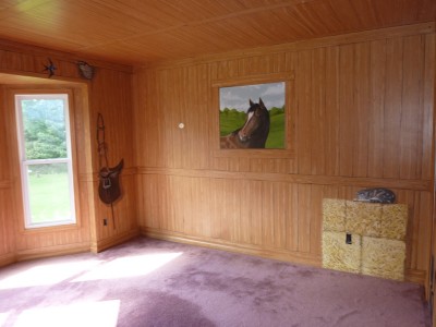 A full room mural- The Barn room is completely painted- doors, walls and ceiling with faux wood siding to look like the inside of a riding stable. also depicted are the girl's horse, her dogs, her cat, saddle, boots, bridle and barn swallows. more views can be seen on the blog at ellen eligh .com search childrens murals. Mural by Ellen Leigh